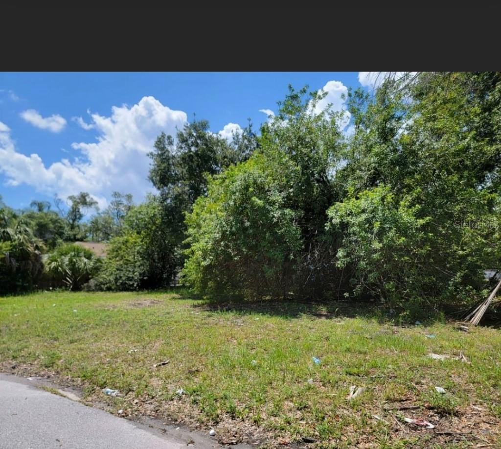 Listing Details for 809 Palm Bluff Street, CLEARWATER, FL 33755