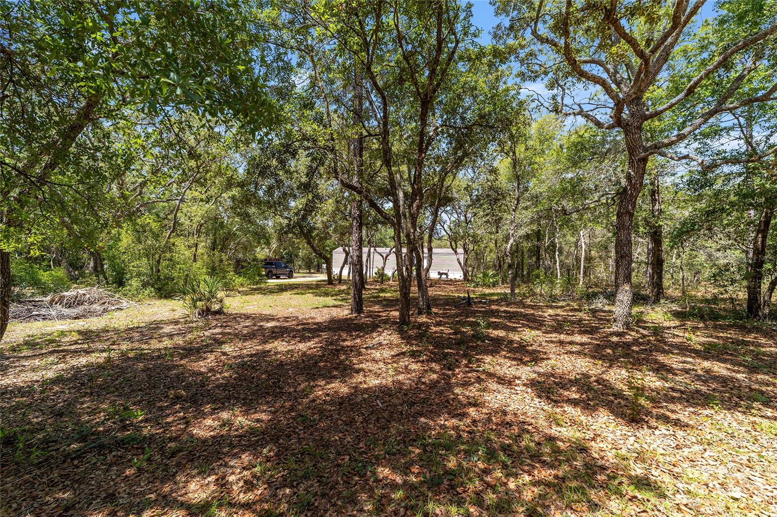 Image 20 of 39 For 9088 Berkshire Avenue