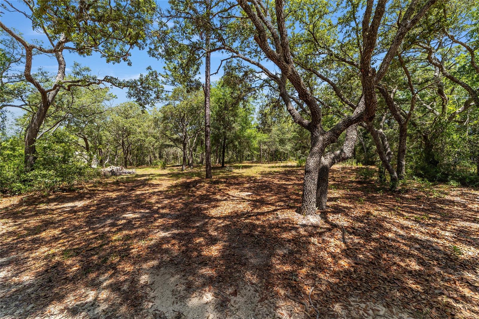 Image 21 of 39 For 9088 Berkshire Avenue