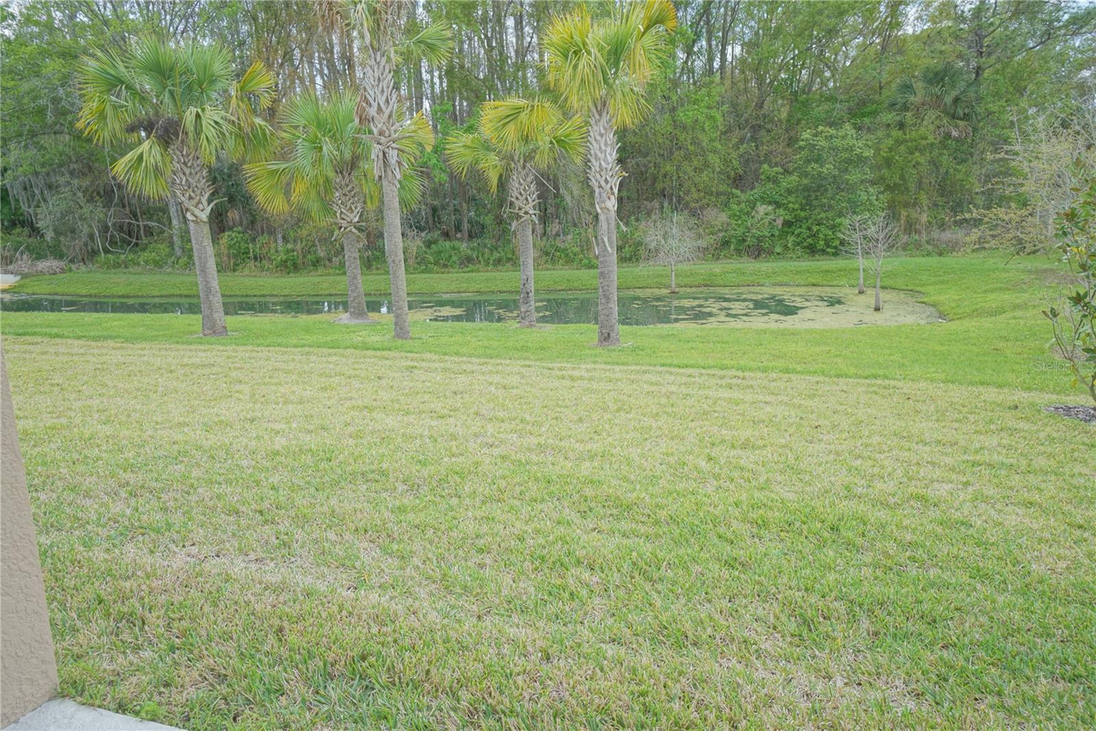 Image 9 of 12 For 16370 Hyde Manor Drive