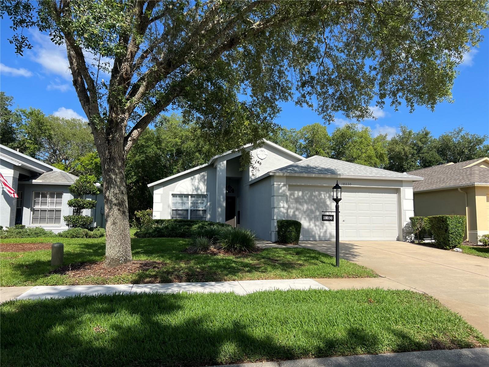 Details for 18030 Webster Grove Drive, HUDSON, FL 34667