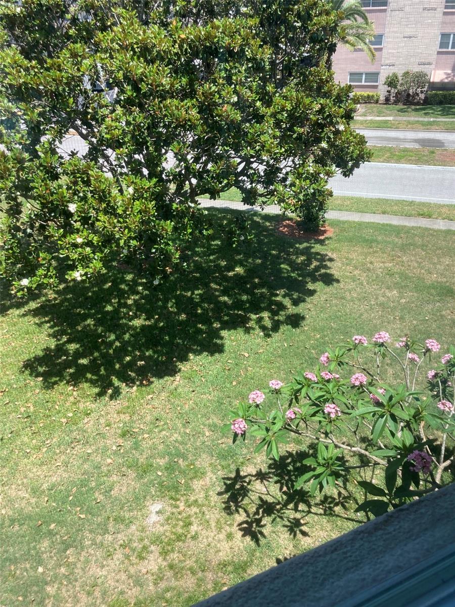 Image 18 of 47 For 5530 80th Street N A306