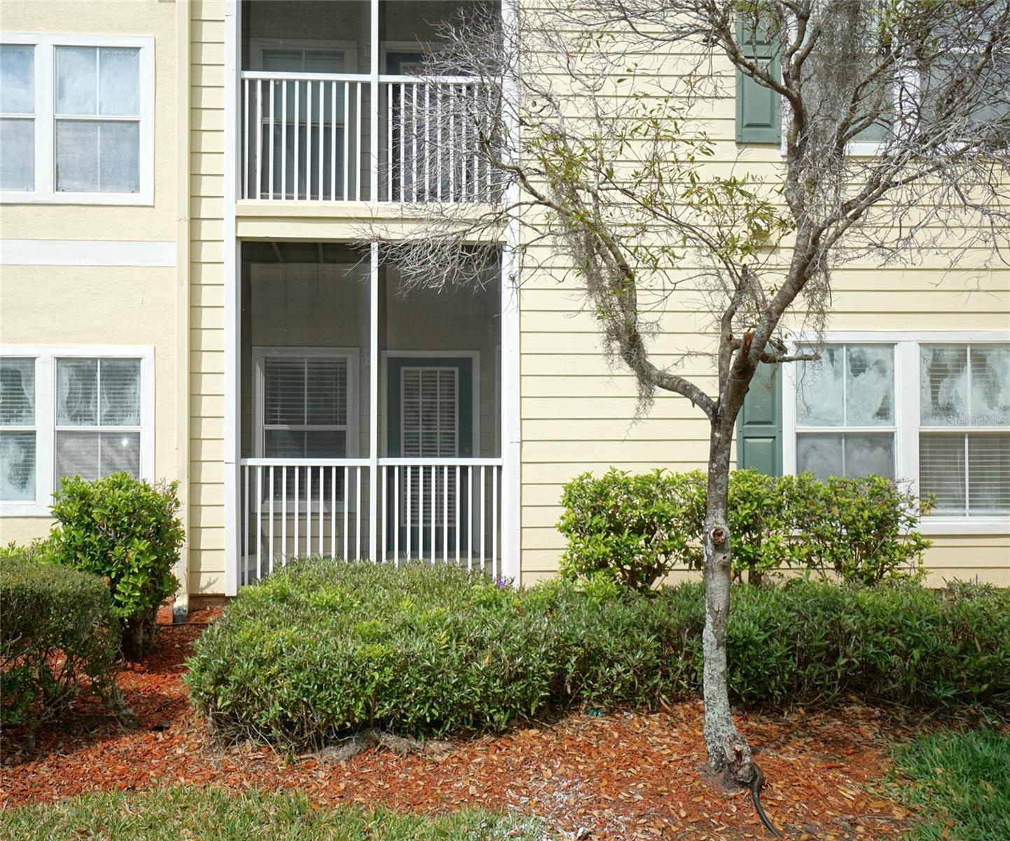 Details for 18425 Bridle Club Drive, TAMPA, FL 33647