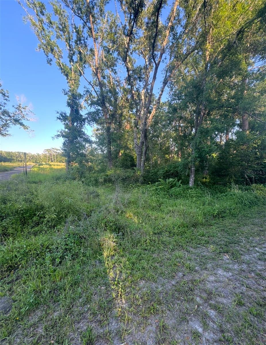 Details for 14805 Berkford Avenue, TAMPA, FL 33625