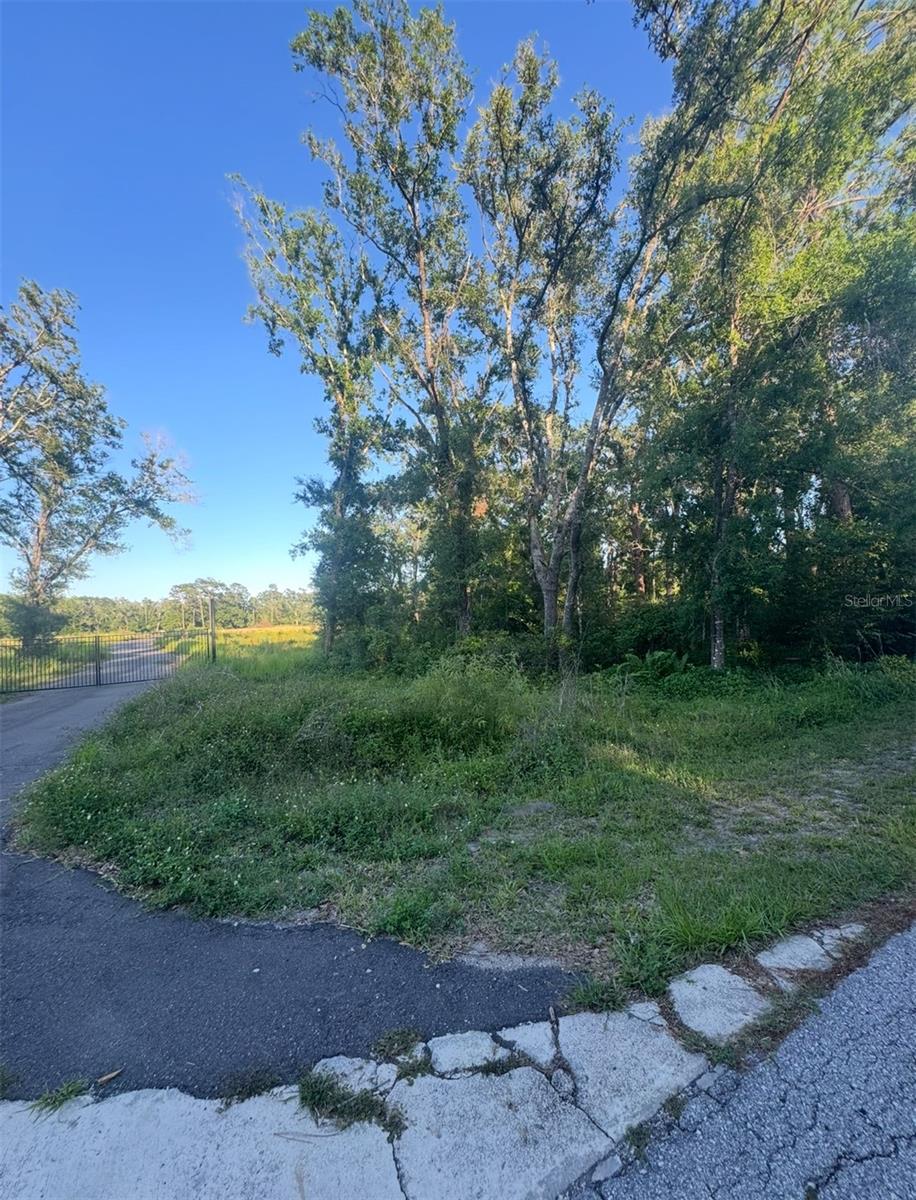 Image 2 of 4 For 14805 Berkford Avenue