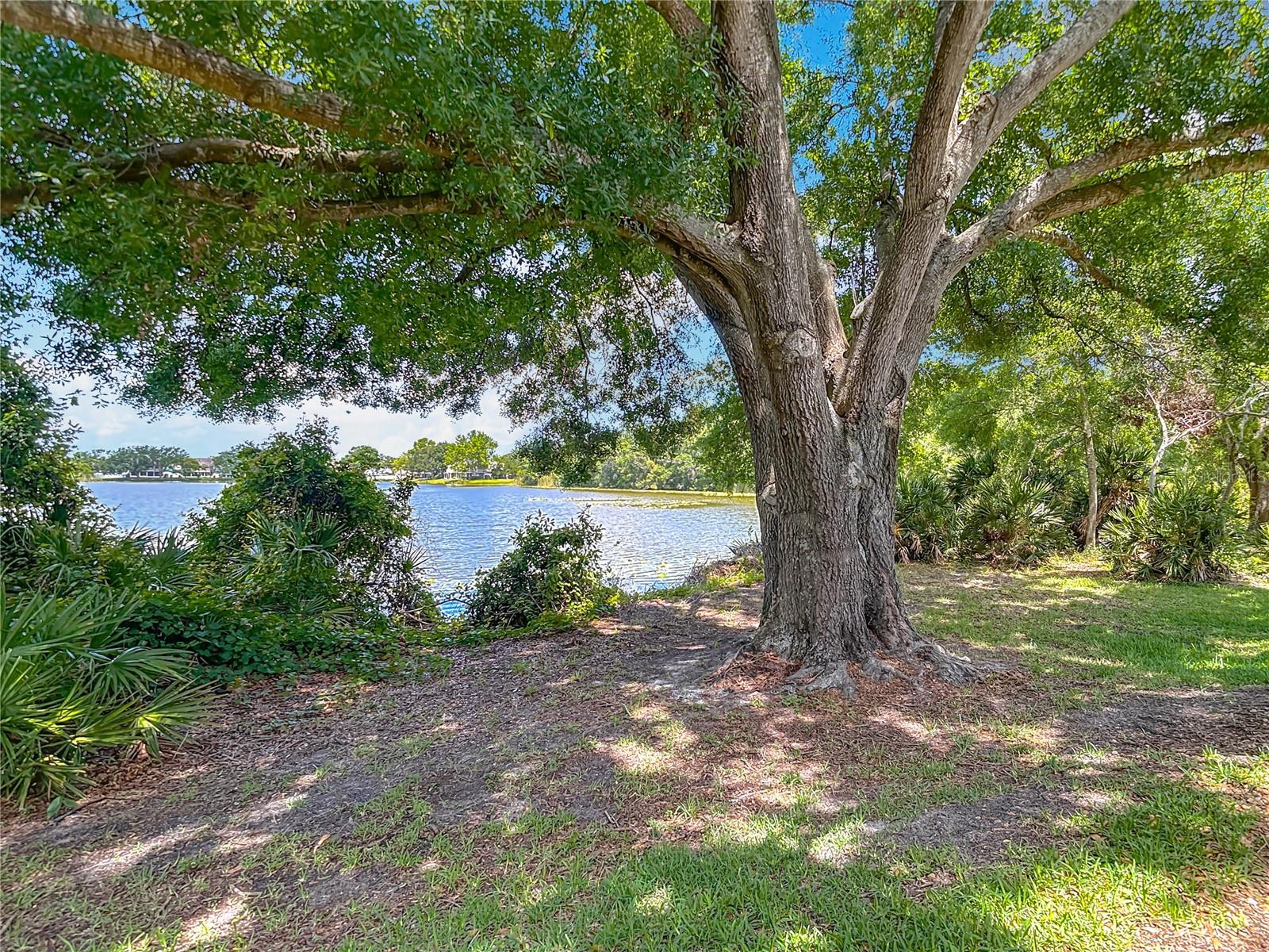 Image 55 of 73 For 8576 Sandy Beach St