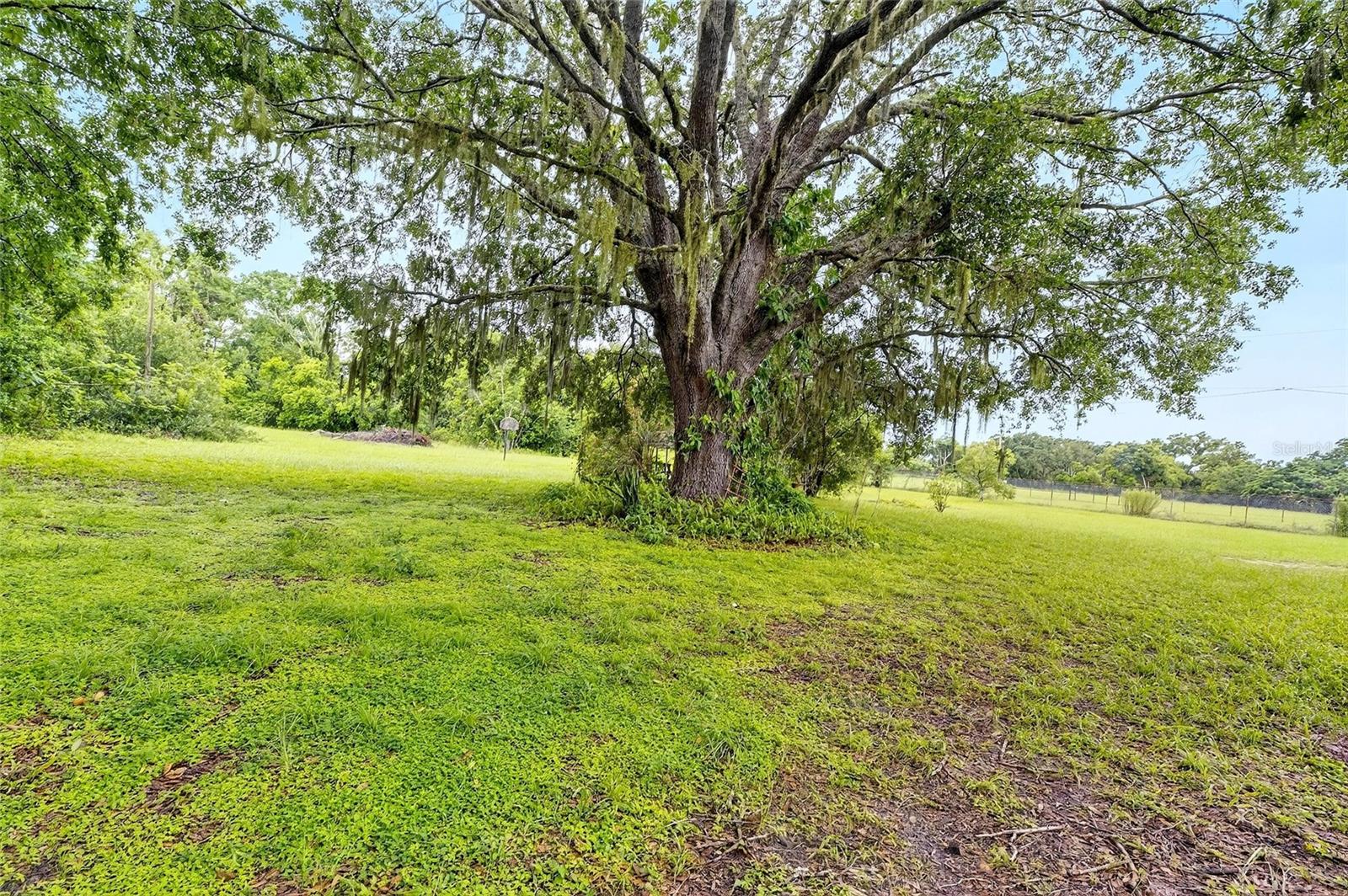Image 4 of 54 For 9635 Joe Ebert Road
