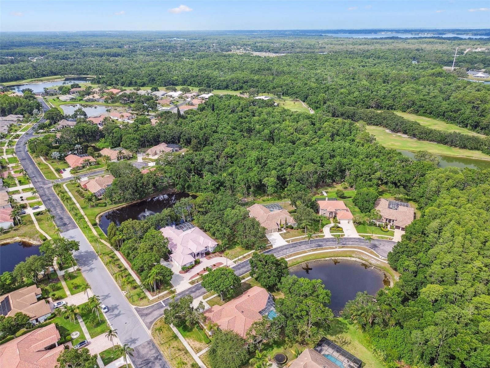 Listing photo id 36 for 3351 Bristol Place