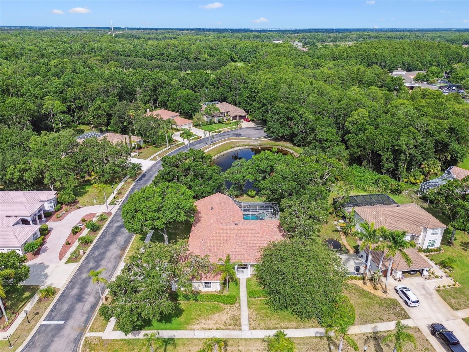 Listing photo id 37 for 3351 Bristol Place