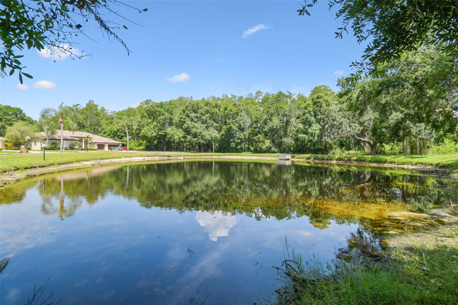 Listing photo id 4 for 3351 Bristol Place
