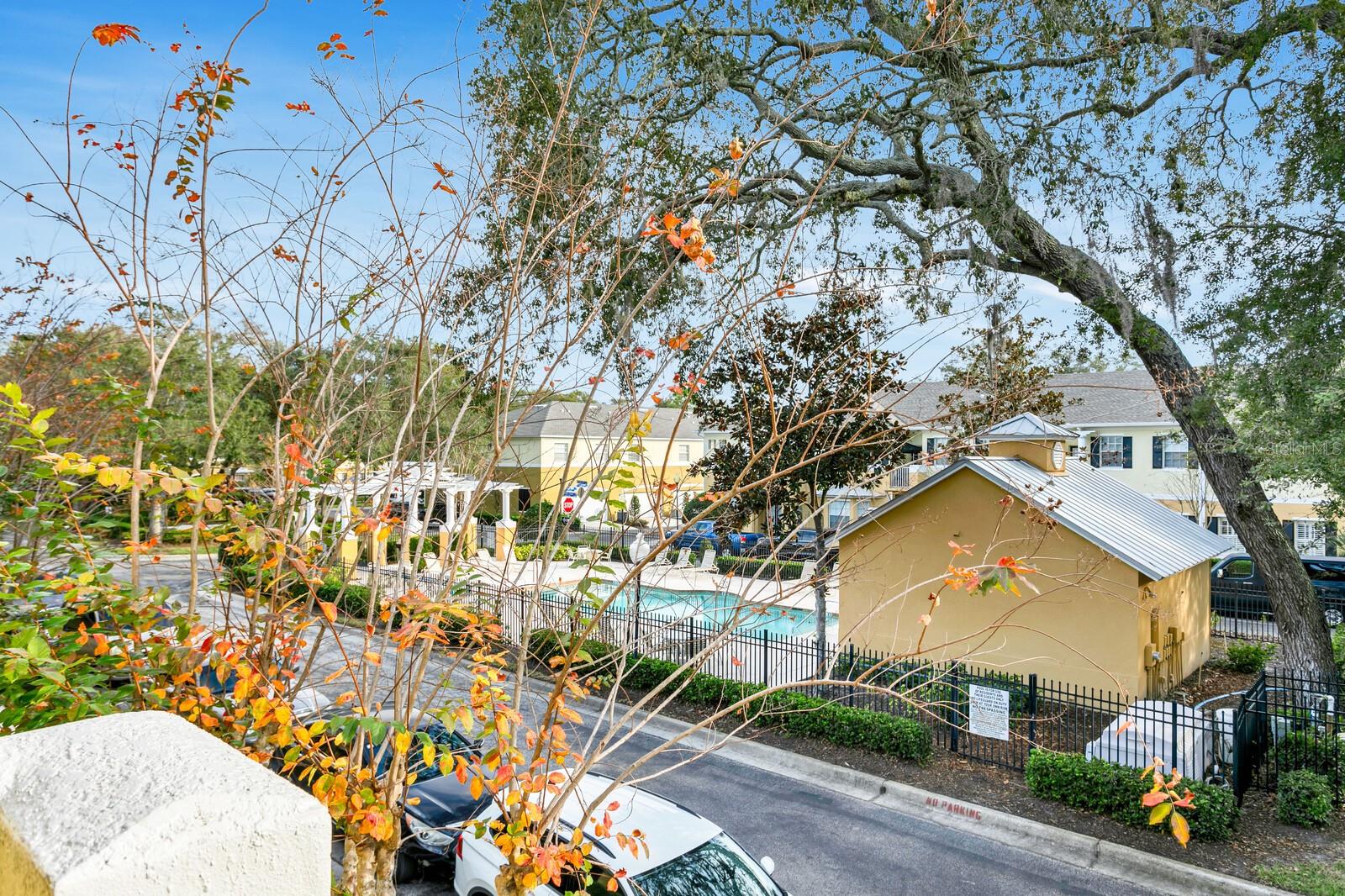 Image 31 of 32 For 14111 Citrus Crest Circle