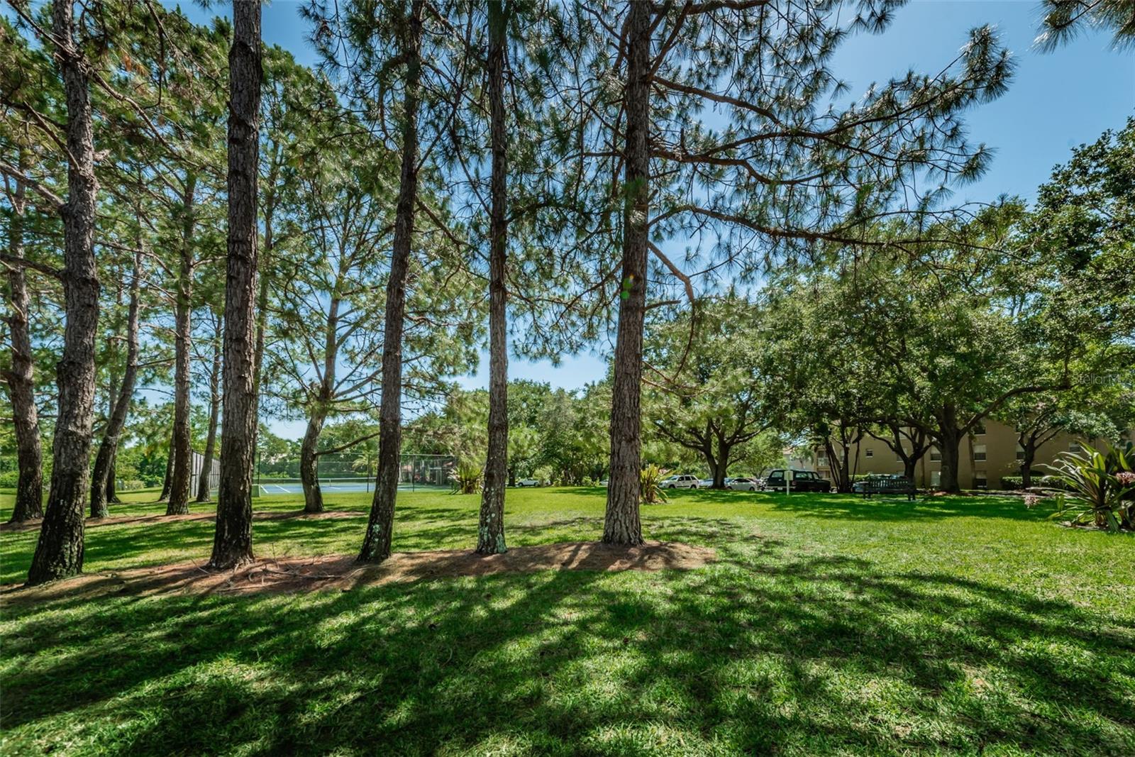 Image 32 of 60 For 2690 Coral Landings Boulevard 722