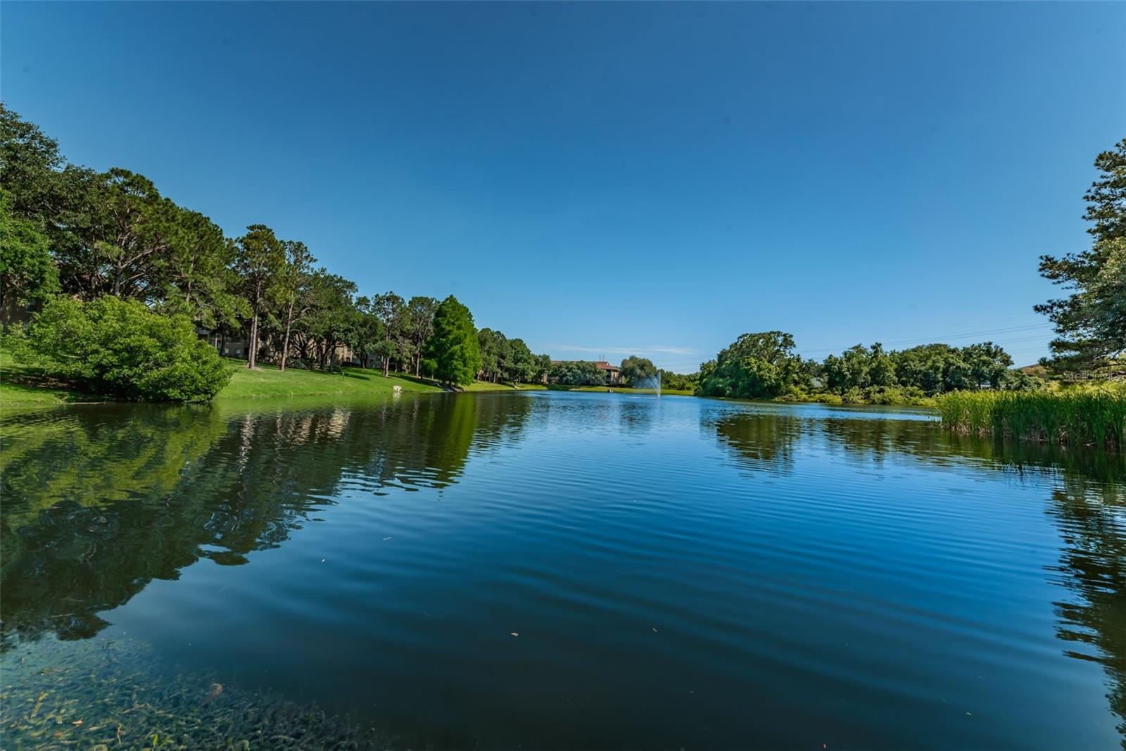 Image 57 of 60 For 2690 Coral Landings Boulevard 722