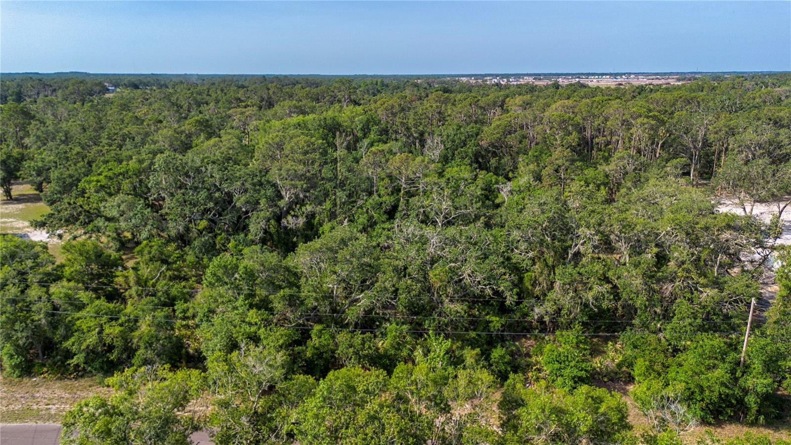 Details for Butch Cassidy Trail, WIMAUMA, FL 33598