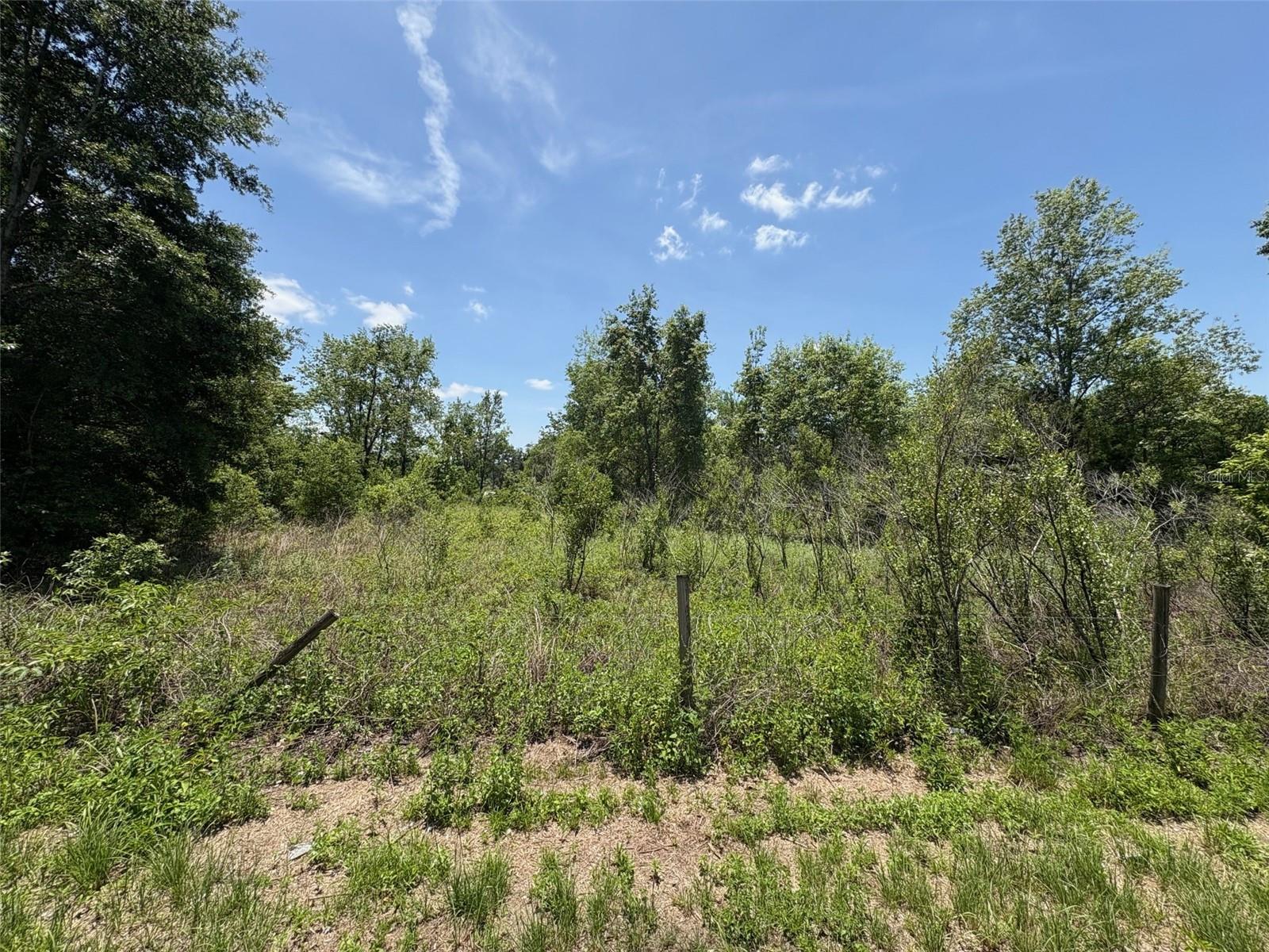 Details for Blanton Road, DADE CITY, FL 33523