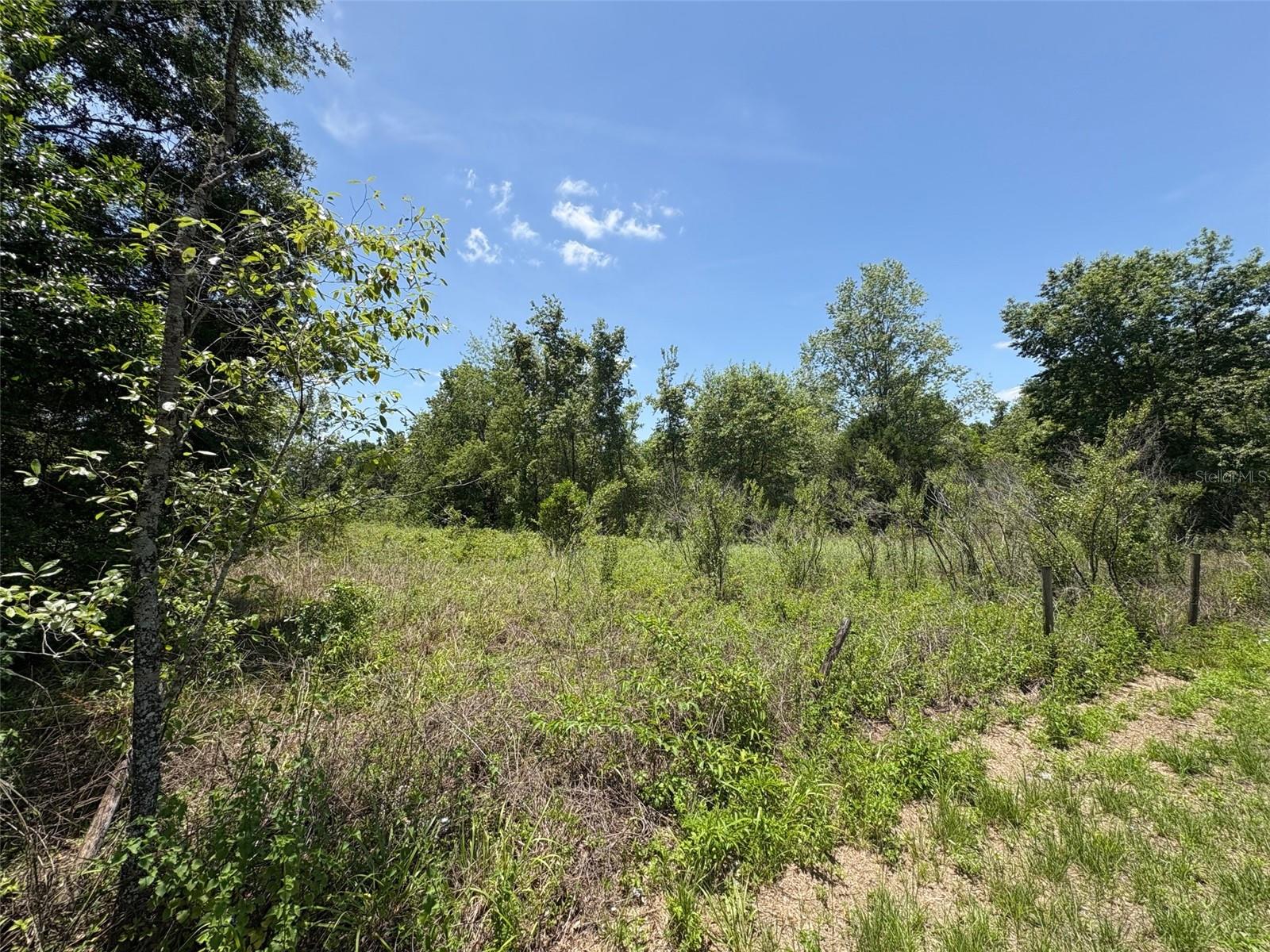 Image 5 of 8 For Blanton Road