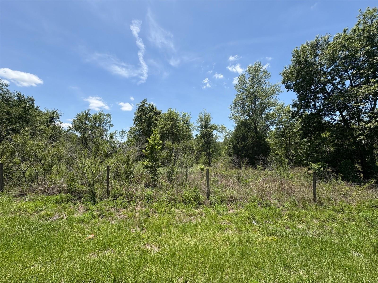 Image 6 of 8 For Blanton Road