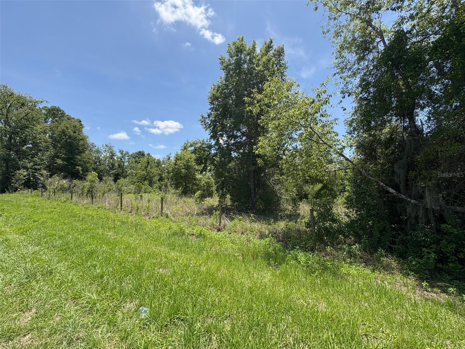 Image 7 of 8 For Blanton Road