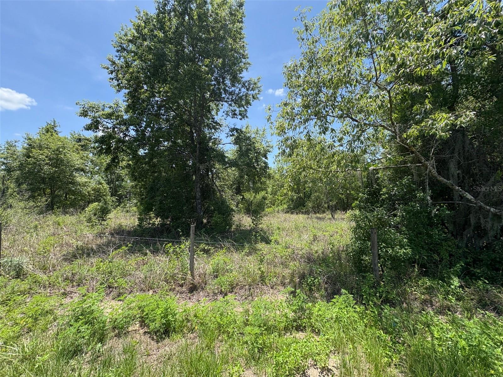 Image 8 of 8 For Blanton Road