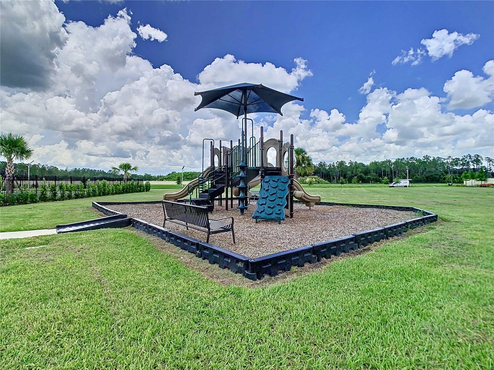 Image 42 of 48 For 34056 Scarlet Sage Court
