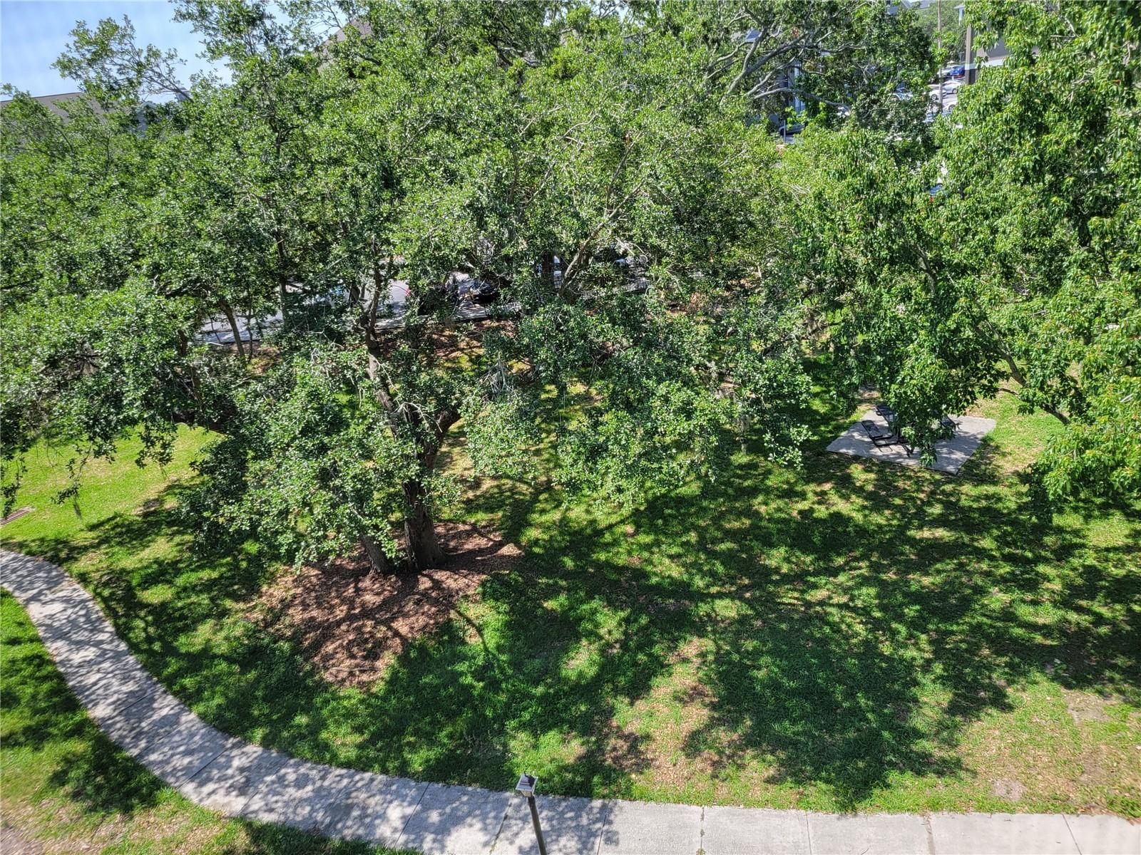 Image 23 of 42 For 9304 Crescent Loop Circle 308