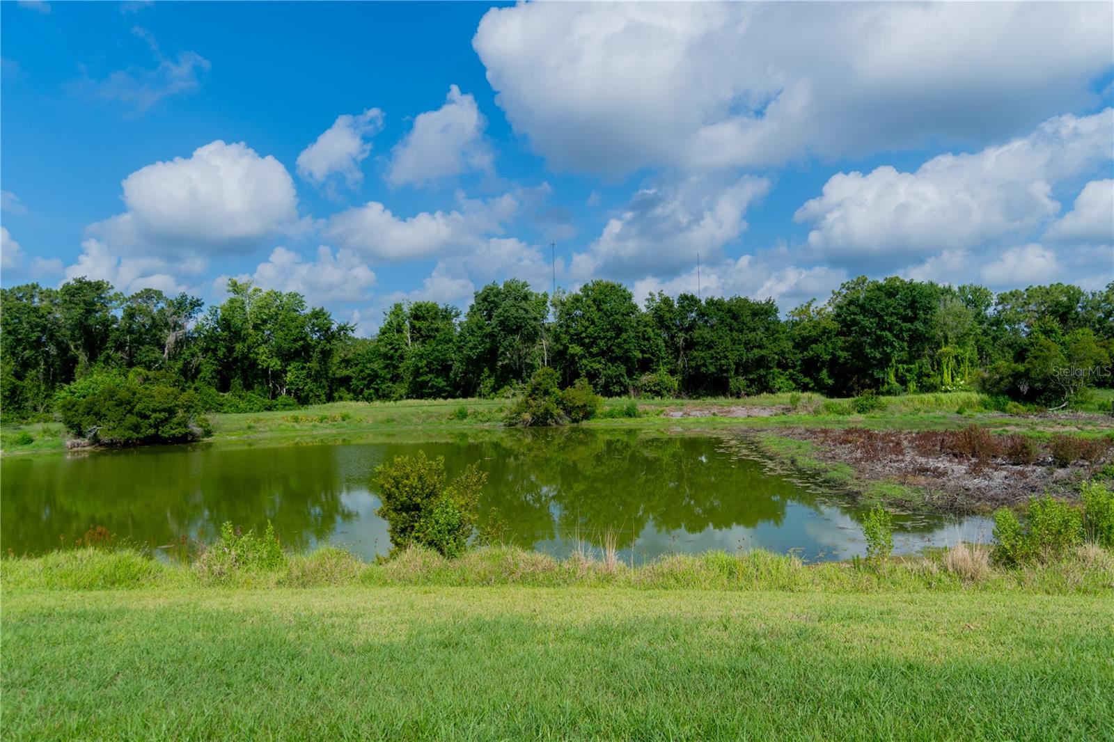 Listing photo id 69 for 15101 Kestrelglen Way