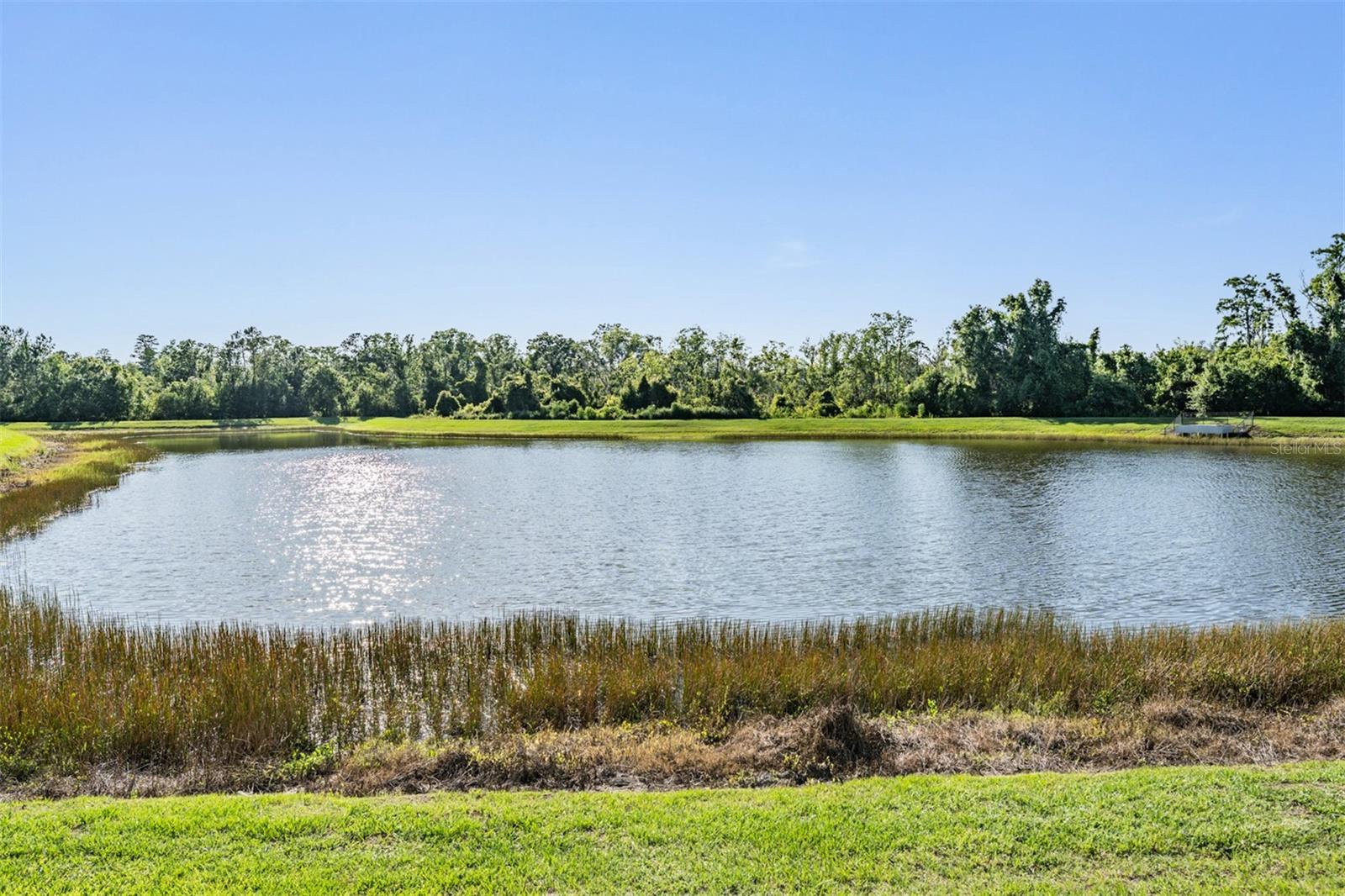 Listing photo id 39 for 12745 Moorish Place