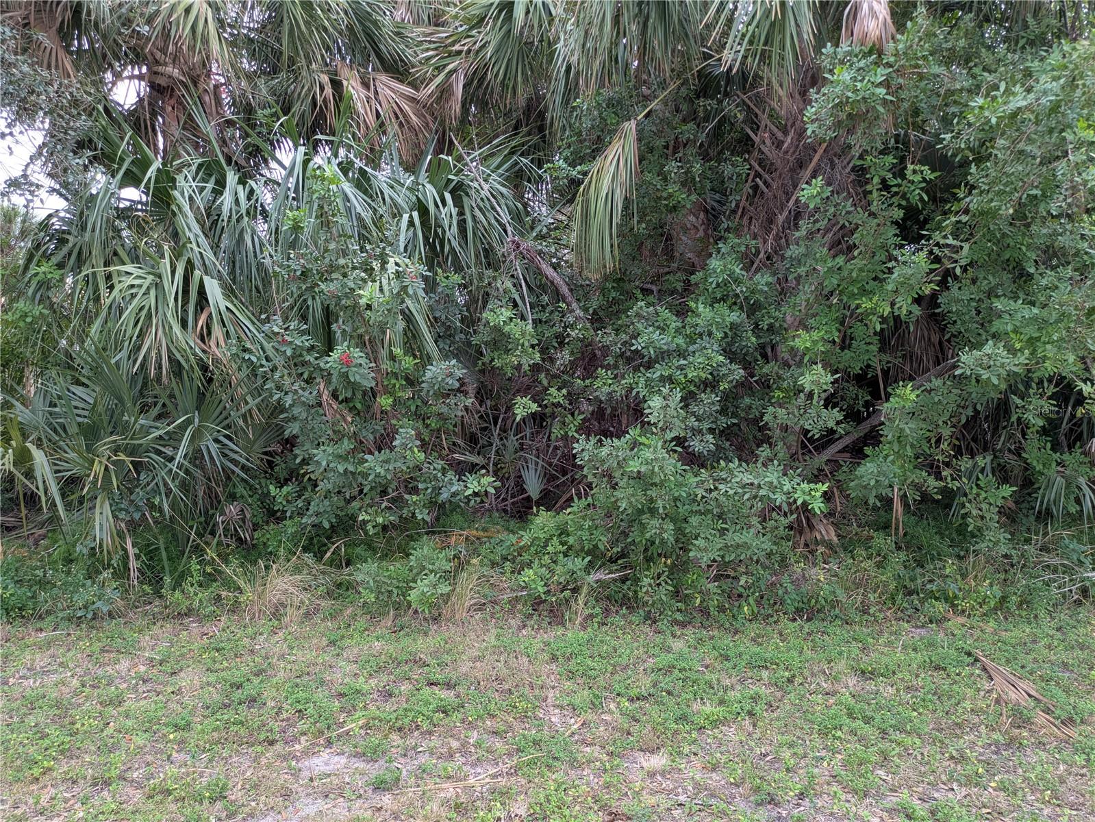 Image 4 of 6 For 18518 Kerrville Circle