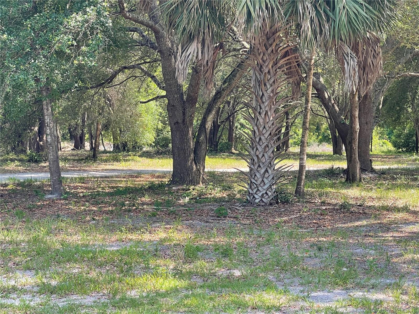 Details for  28th Lane , CHIEFLAND, FL 32626