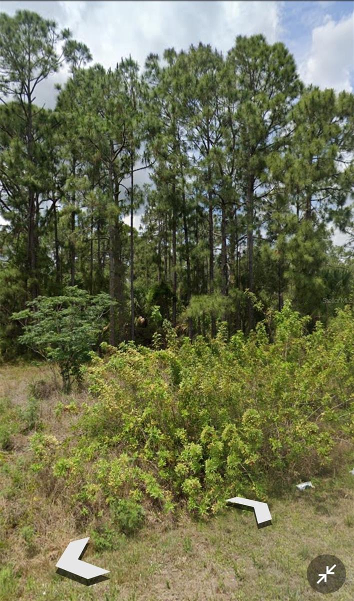 Image 3 of 5 For 809 Gerald Avenue