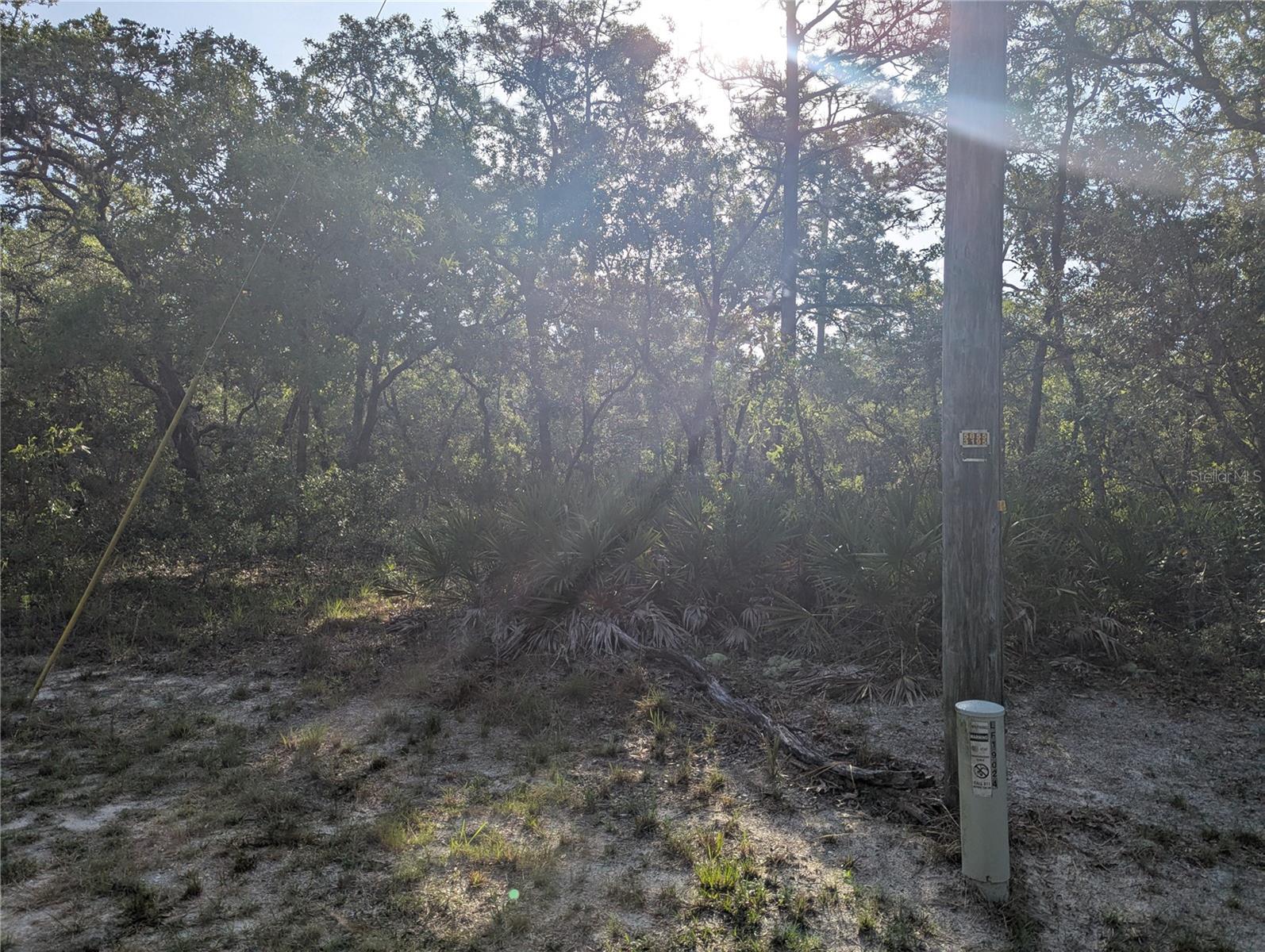 Details for 19036 Retriever Road, BROOKSVILLE, FL 34614