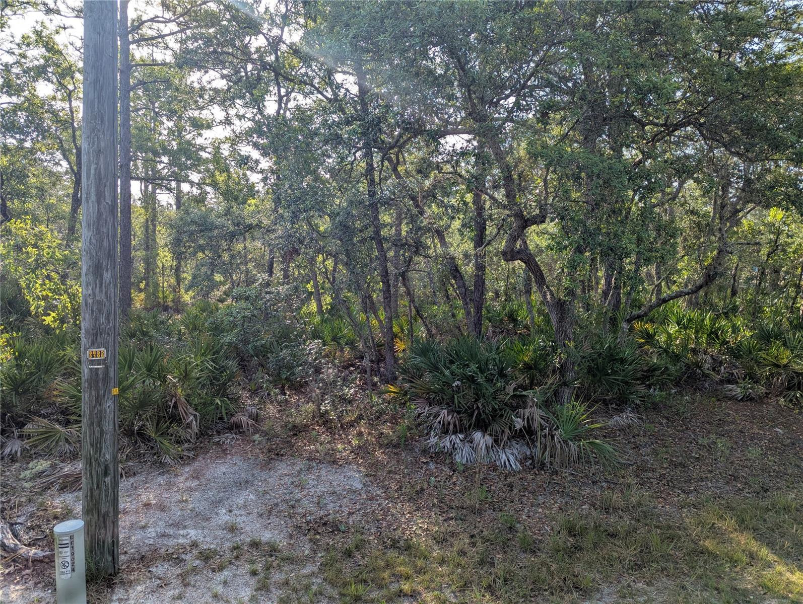 Image 3 of 6 For 19036 Retriever Road
