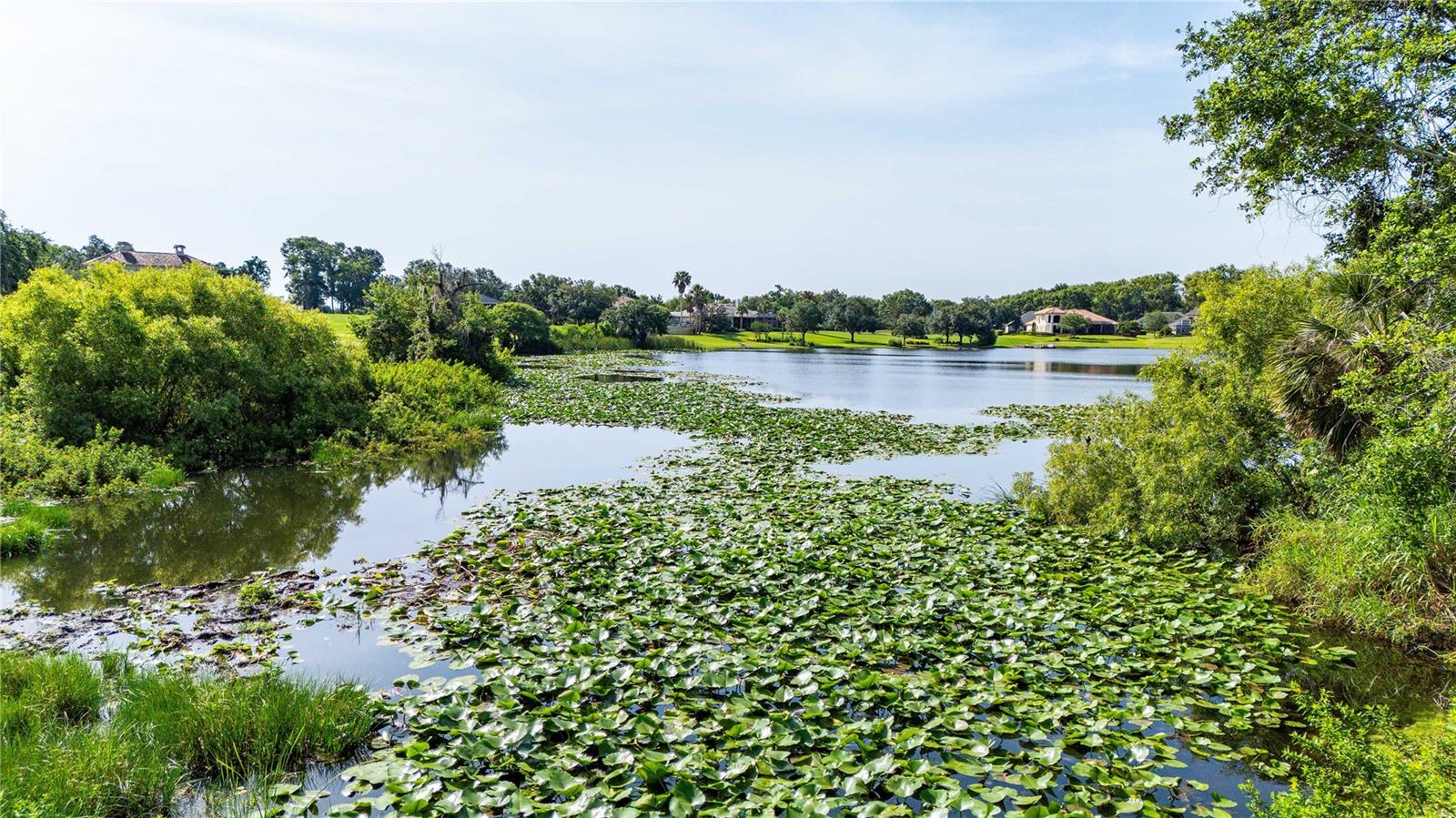 Image 6 of 12 For 12920 Ventana Ct