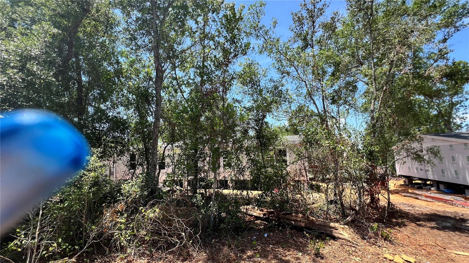 Image 9 of 43 For 10040 Lake Drive