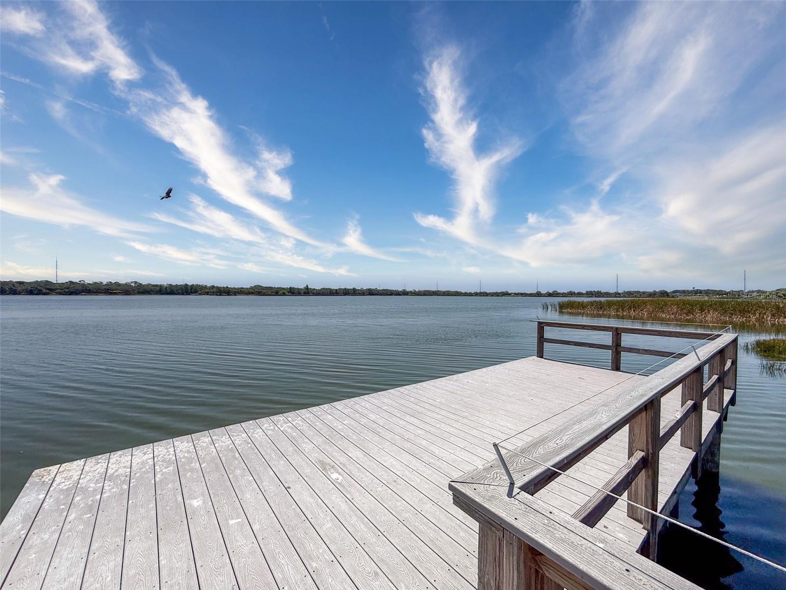 Image 5 of 62 For 10560 Lake Seminole Terrace