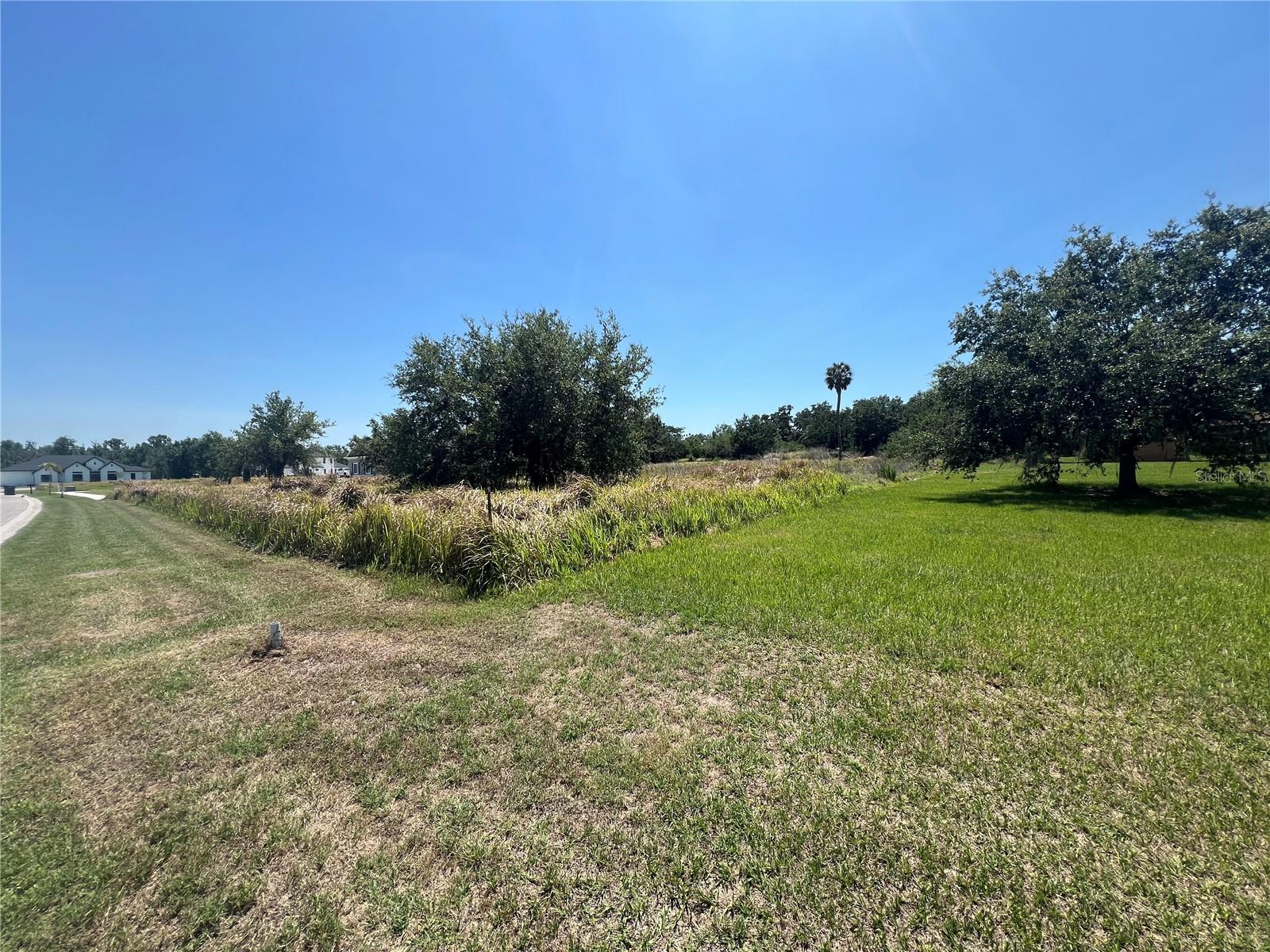 Details for 15315 Fishhawk Heights Run, LITHIA, FL 33547
