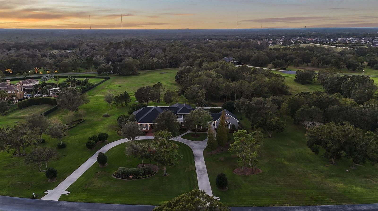 Details for 11441 Hammock Oaks Court, LITHIA, FL 33547