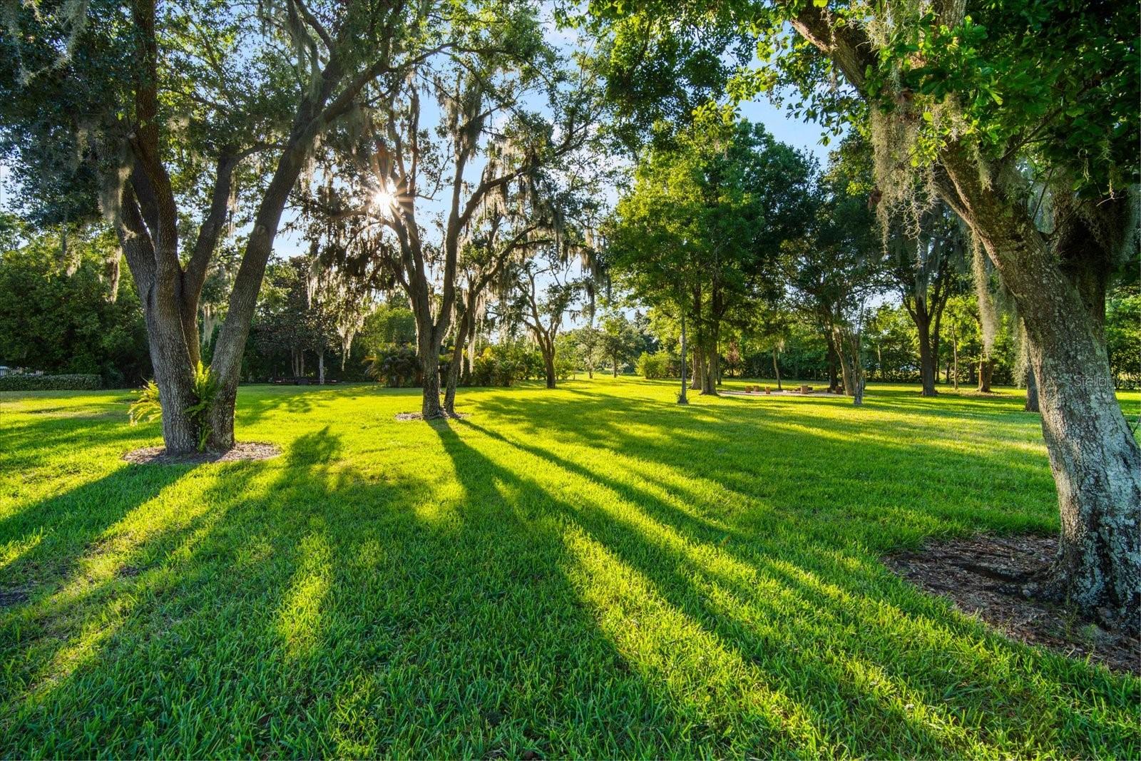 Image 11 of 69 For 11441 Hammock Oaks Court