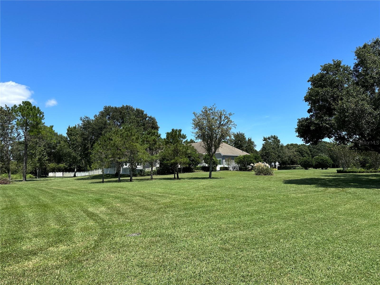 Image 62 of 69 For 11441 Hammock Oaks Court