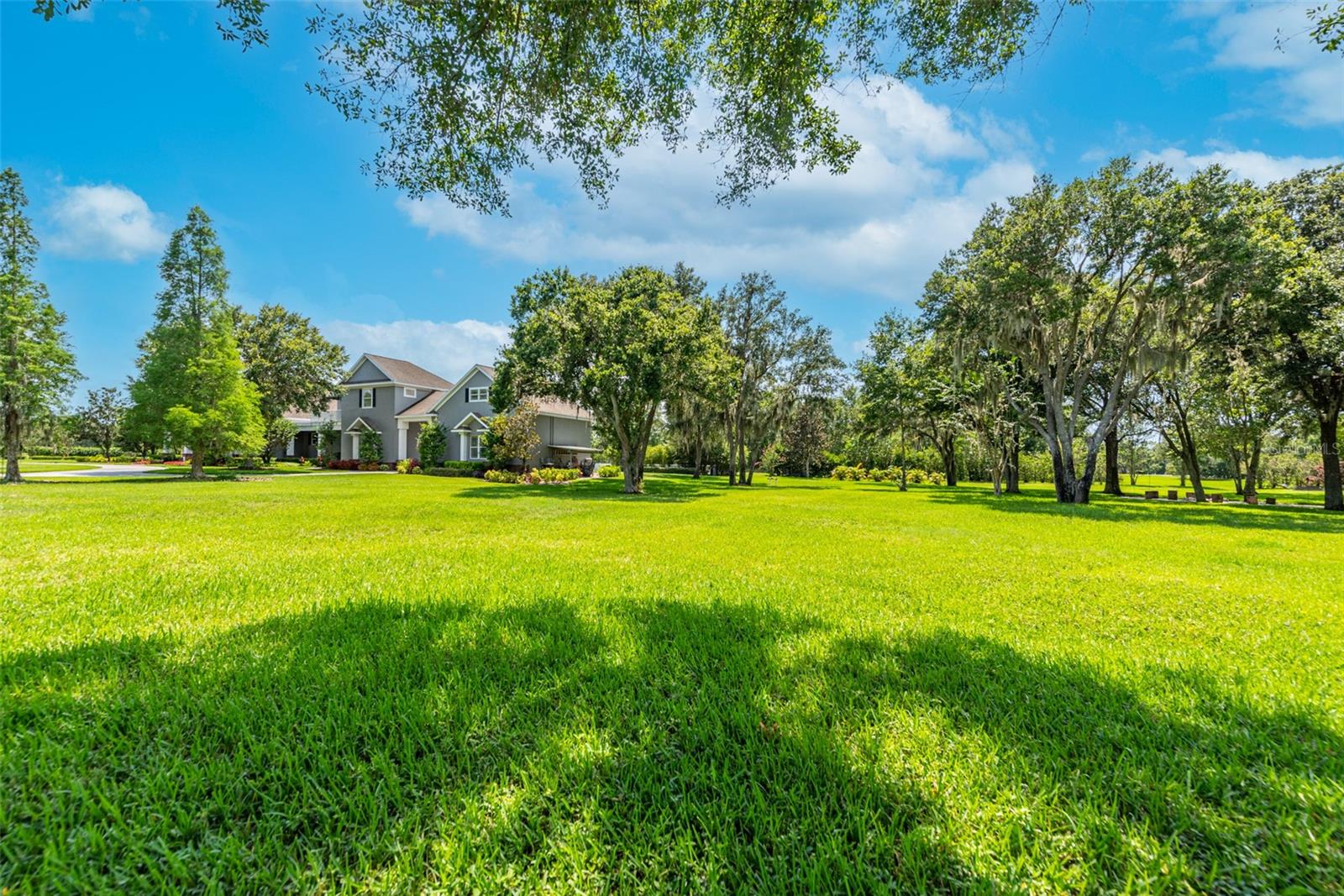 Image 63 of 69 For 11441 Hammock Oaks Court