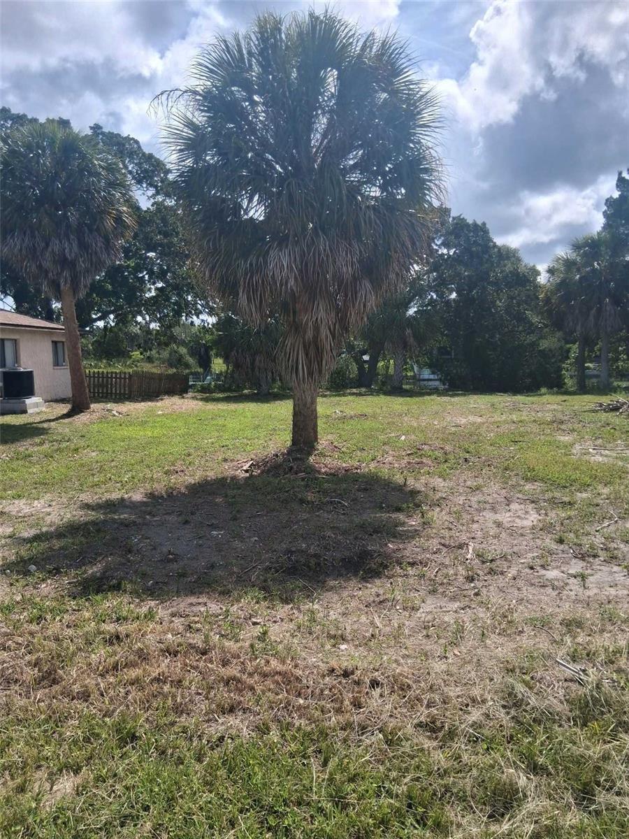 Listing photo id 8 for 0 Sea Grape Drive Lot 10