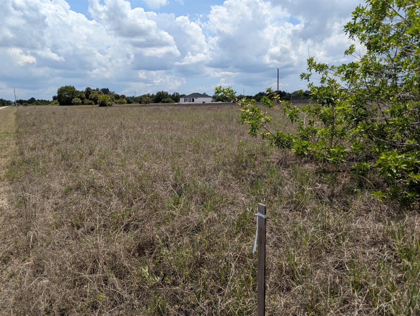 Image 4 of 8 For 1721 Wells Avenue