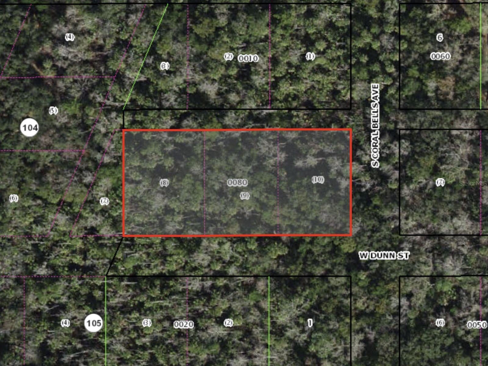 Listing Details for  Dunn  , HOMOSASSA, FL 34448