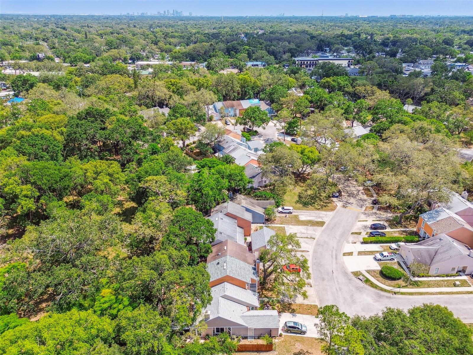 Listing photo id 41 for 9473 Forest Hills Place