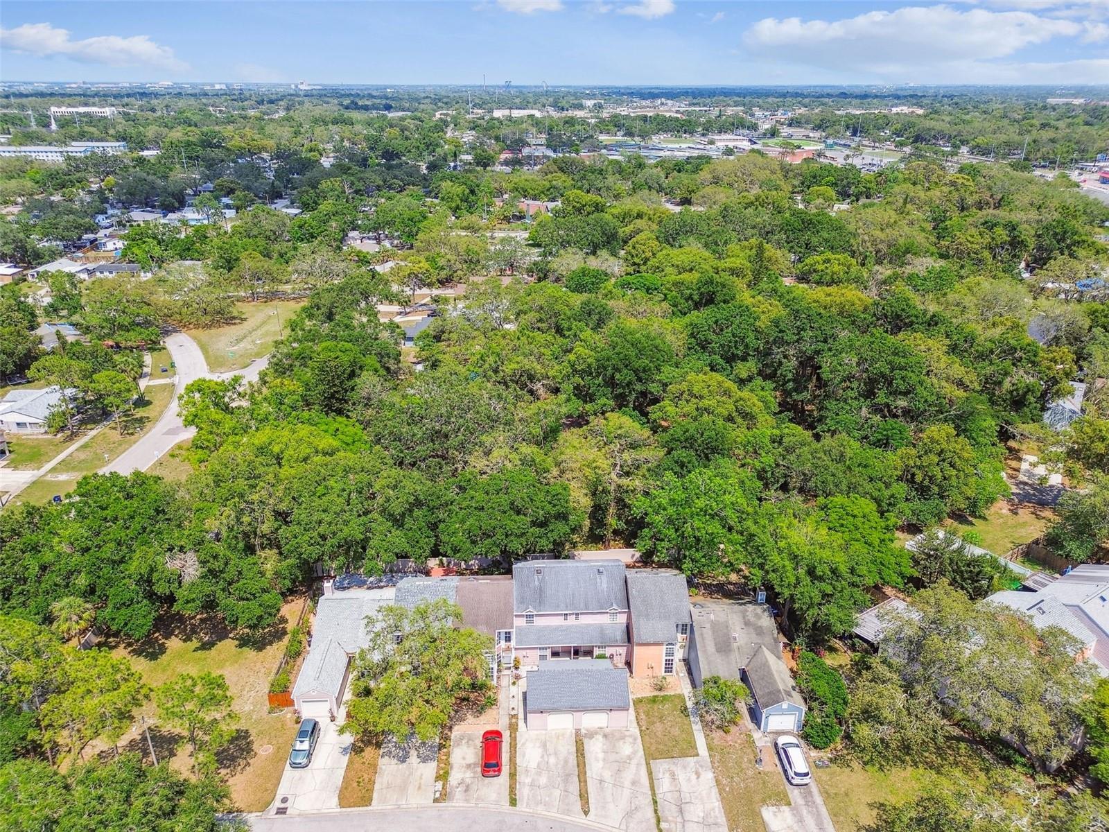 Listing photo id 42 for 9473 Forest Hills Place