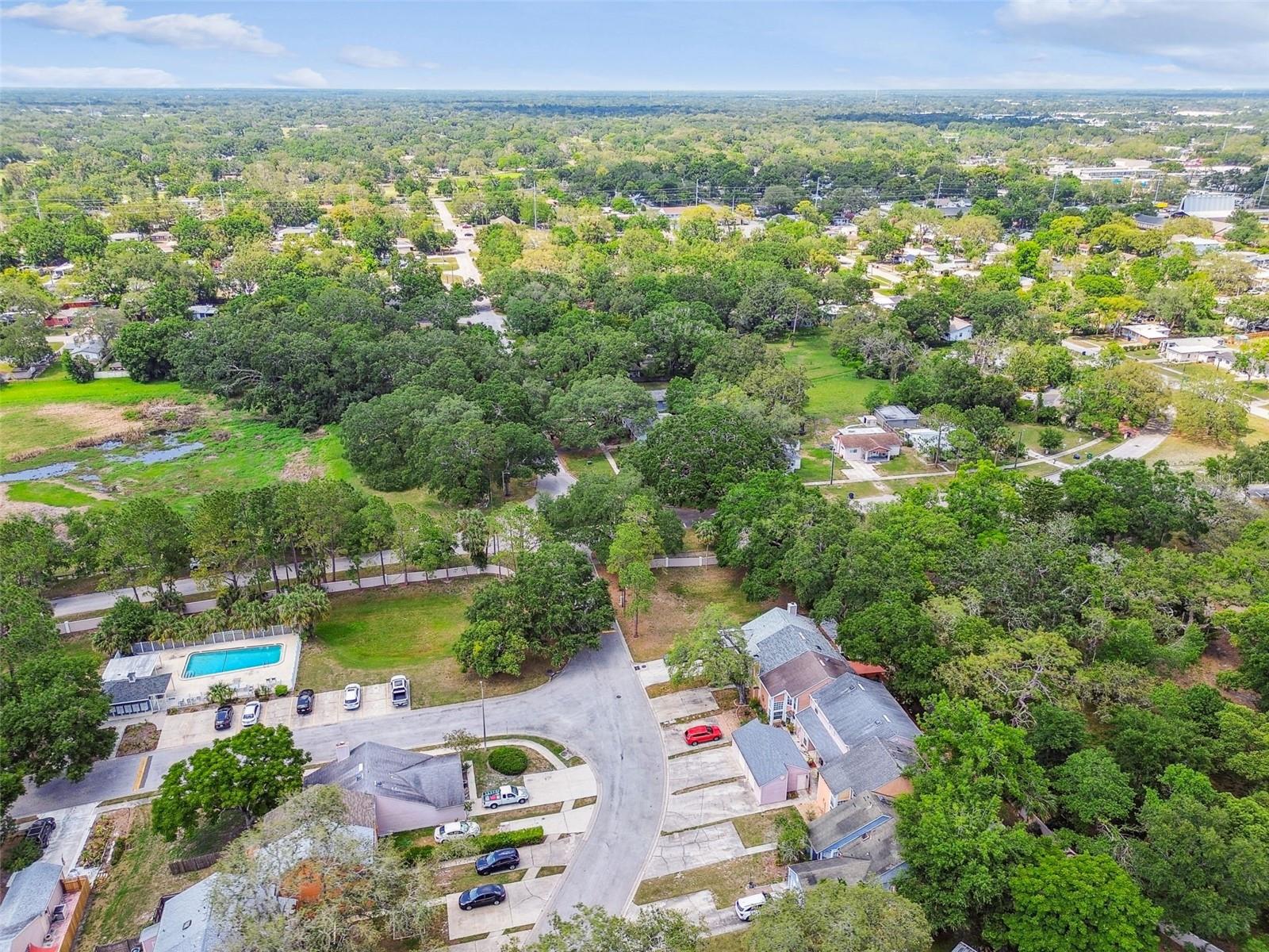 Listing photo id 44 for 9473 Forest Hills Place