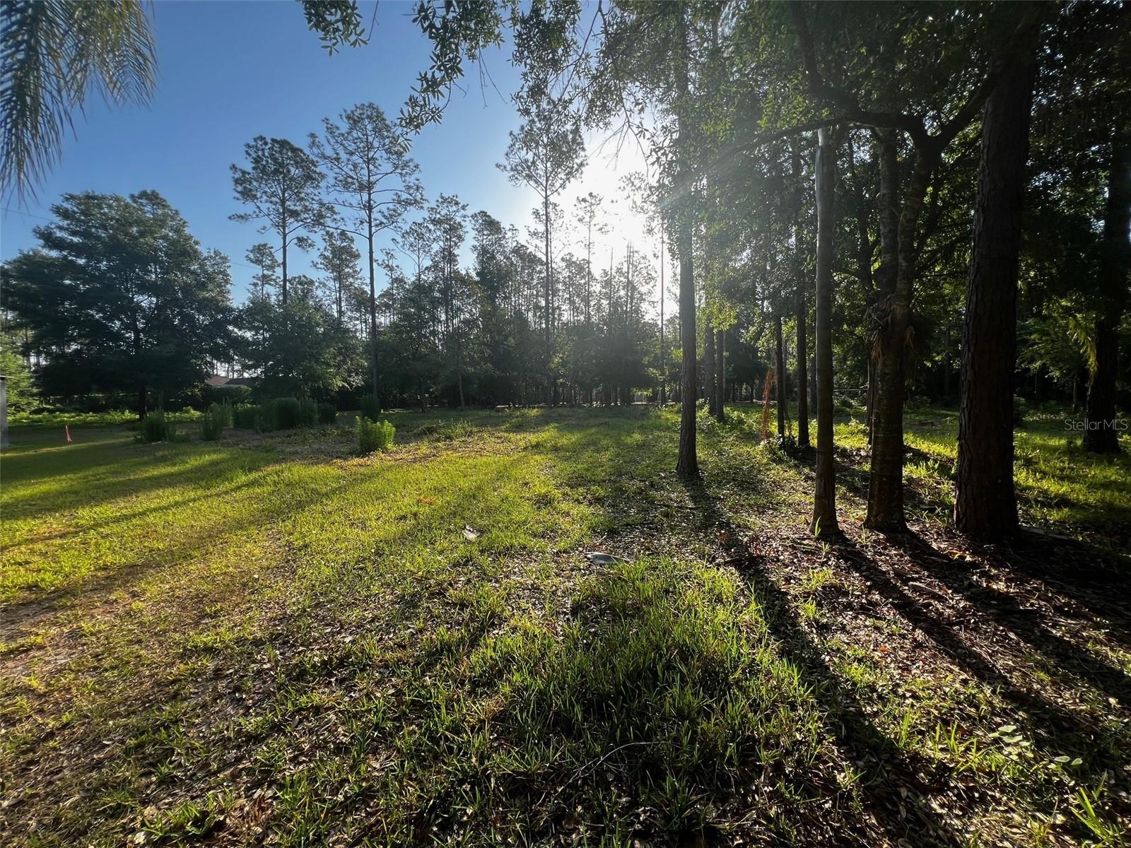 Details for  Newberger  , LUTZ, FL 33549