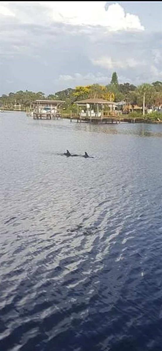Image 3 of 6 For 814 Blue Heron Boulevard