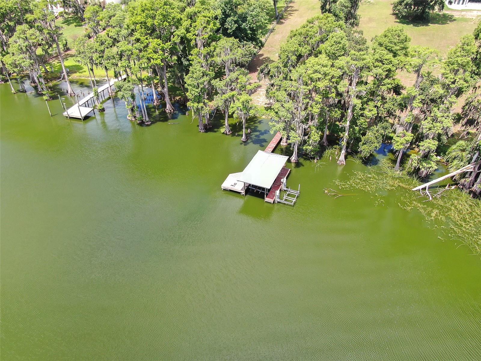 Listing photo id 50 for 11921 Fort King Highway