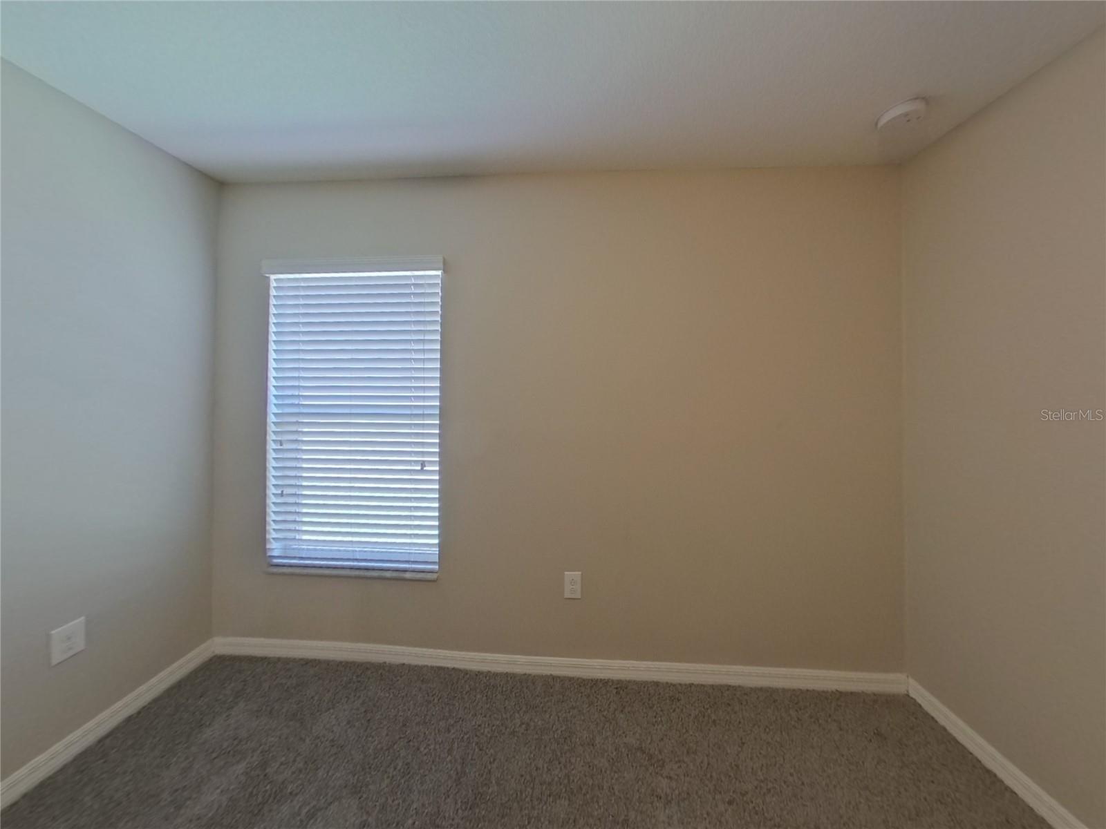 Image 10 of 17 For 2026 Broad Winged Hawk Drive